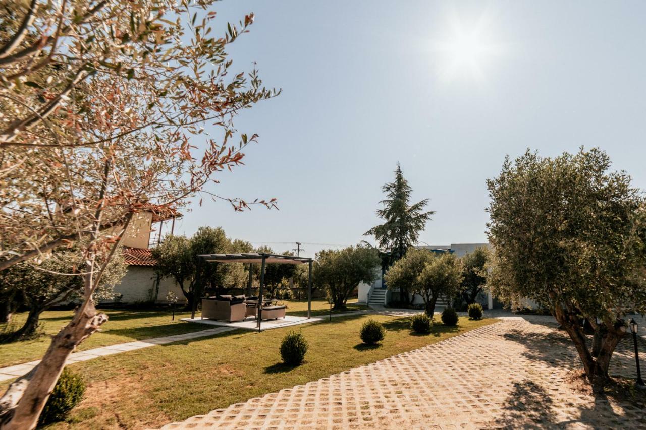 Cyclades Luxury Studios Nea Poteidaia Exterior photo